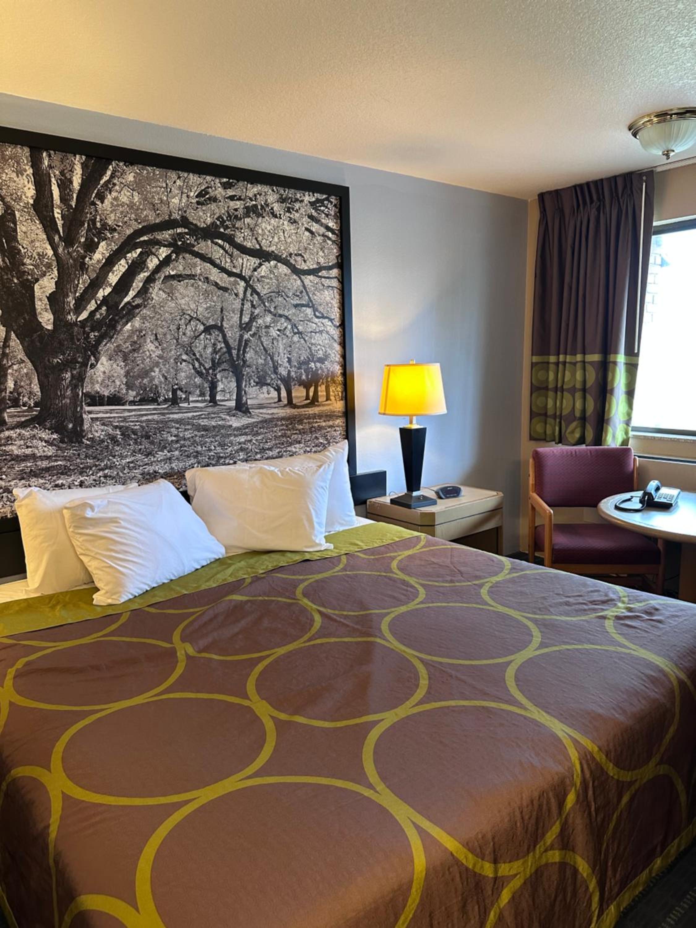 King Room - Non-Smoking - Photo 4