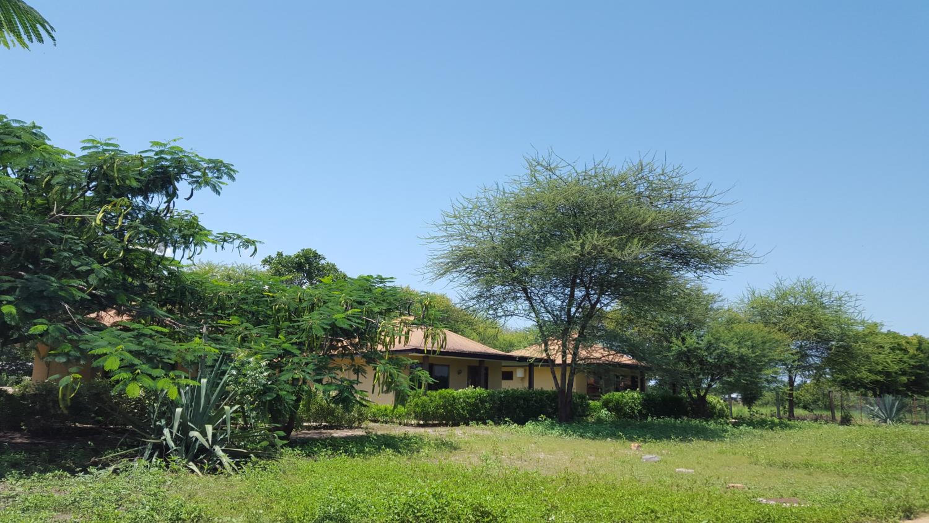 Bungalow - Photo 2
