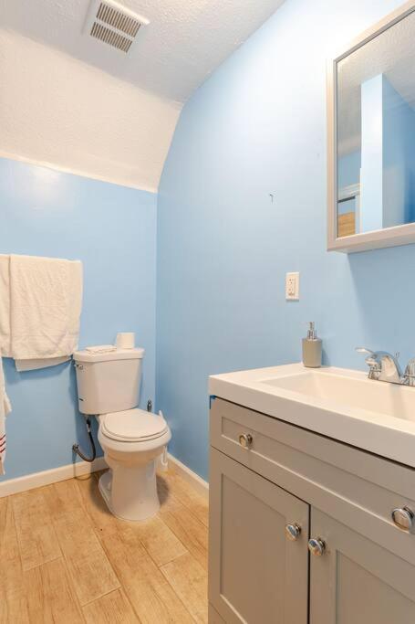 One-Bedroom Apartment photo 3