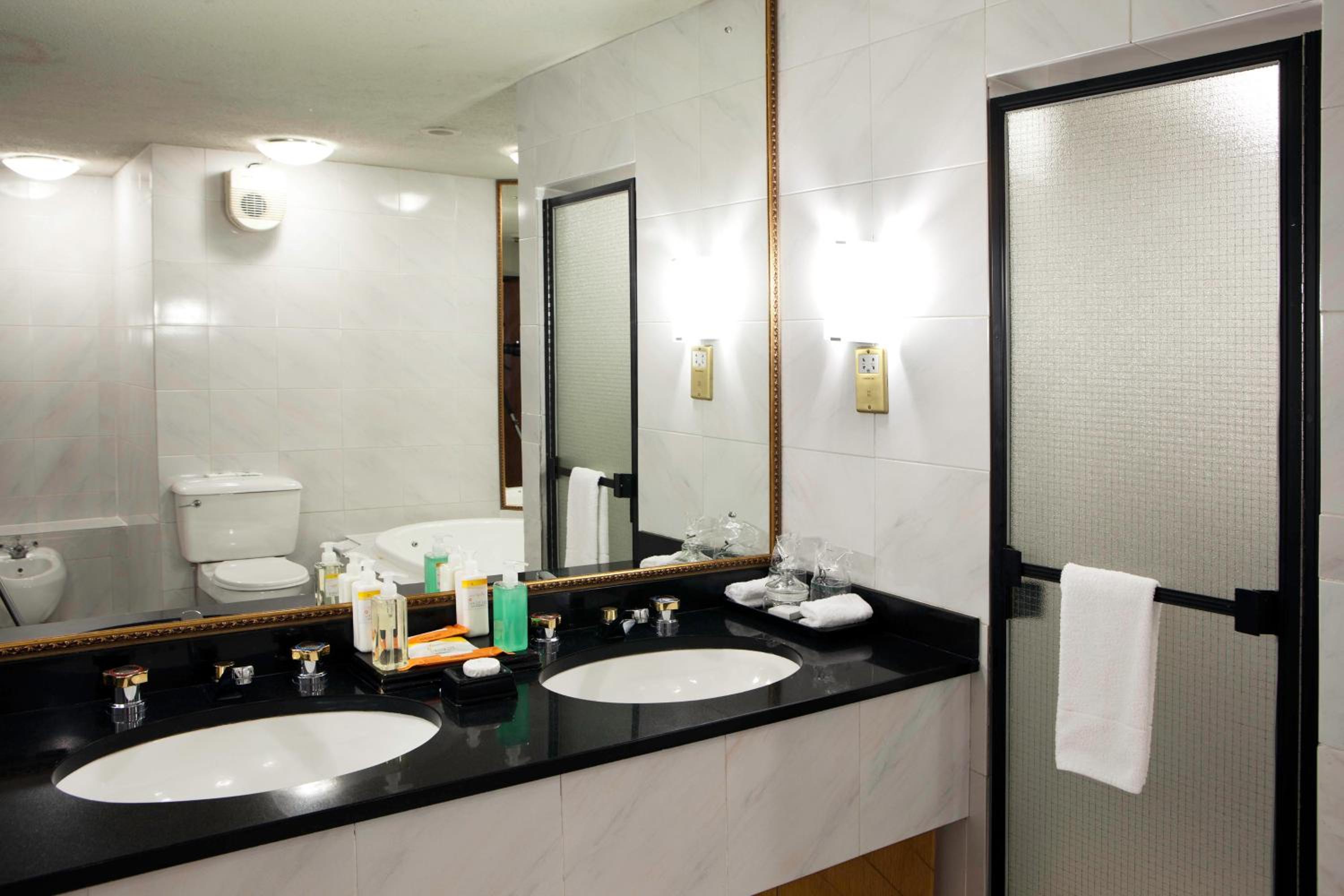 Executive Suite - Photo 4