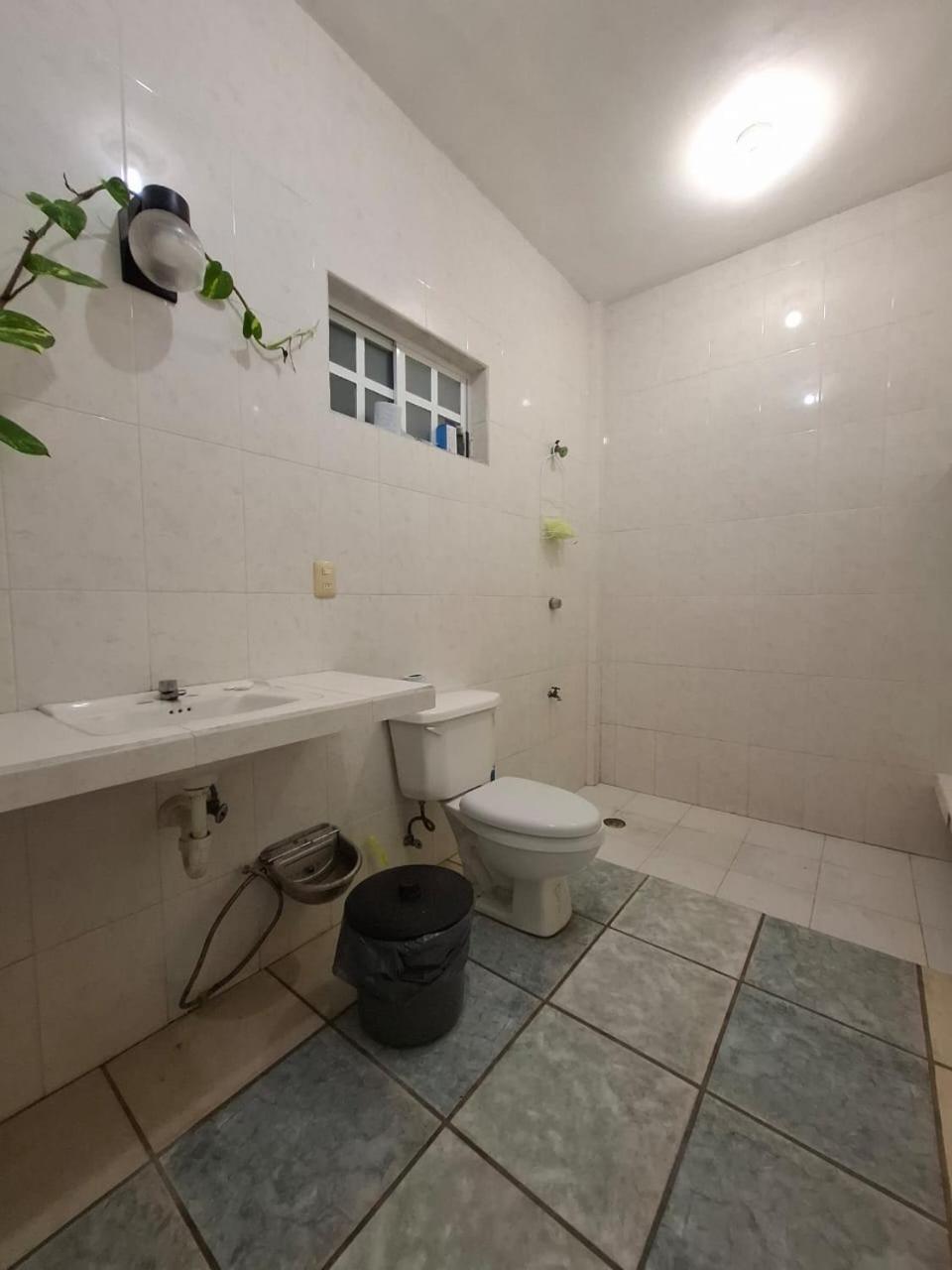 6-Bed Mixed Dormitory Room photo 3
