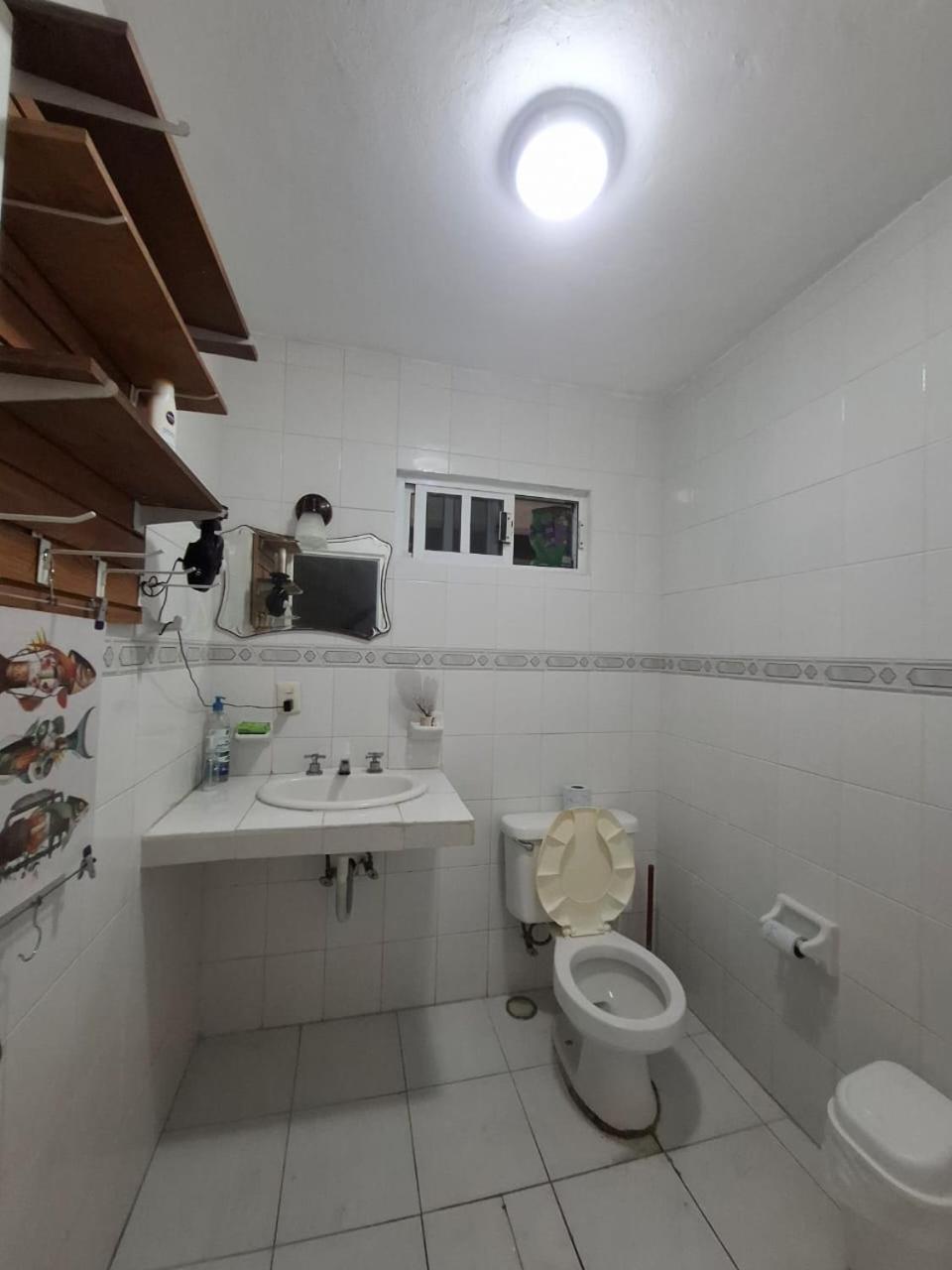 Bed in 6-Bed Mixed Dormitory Room photo 3