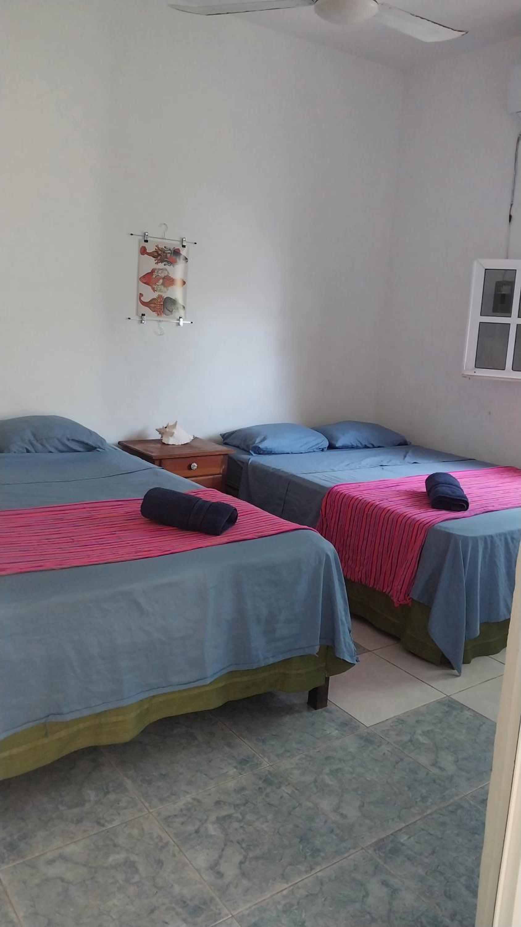 Deluxe Double or Twin Room photo 1