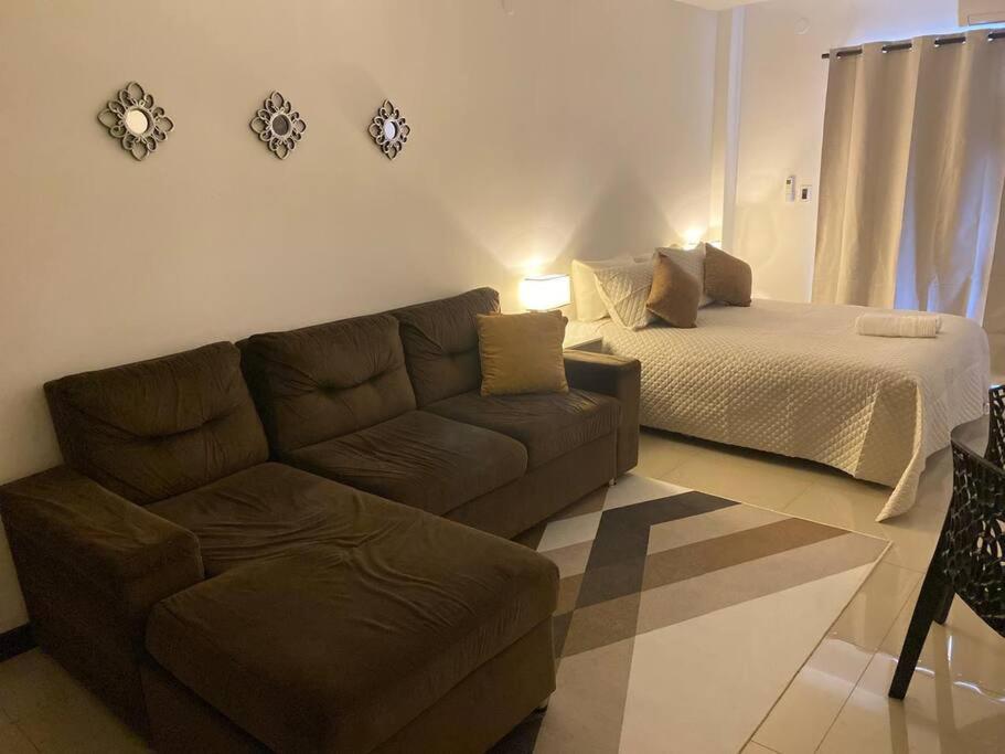 One-Bedroom Apartment photo 3