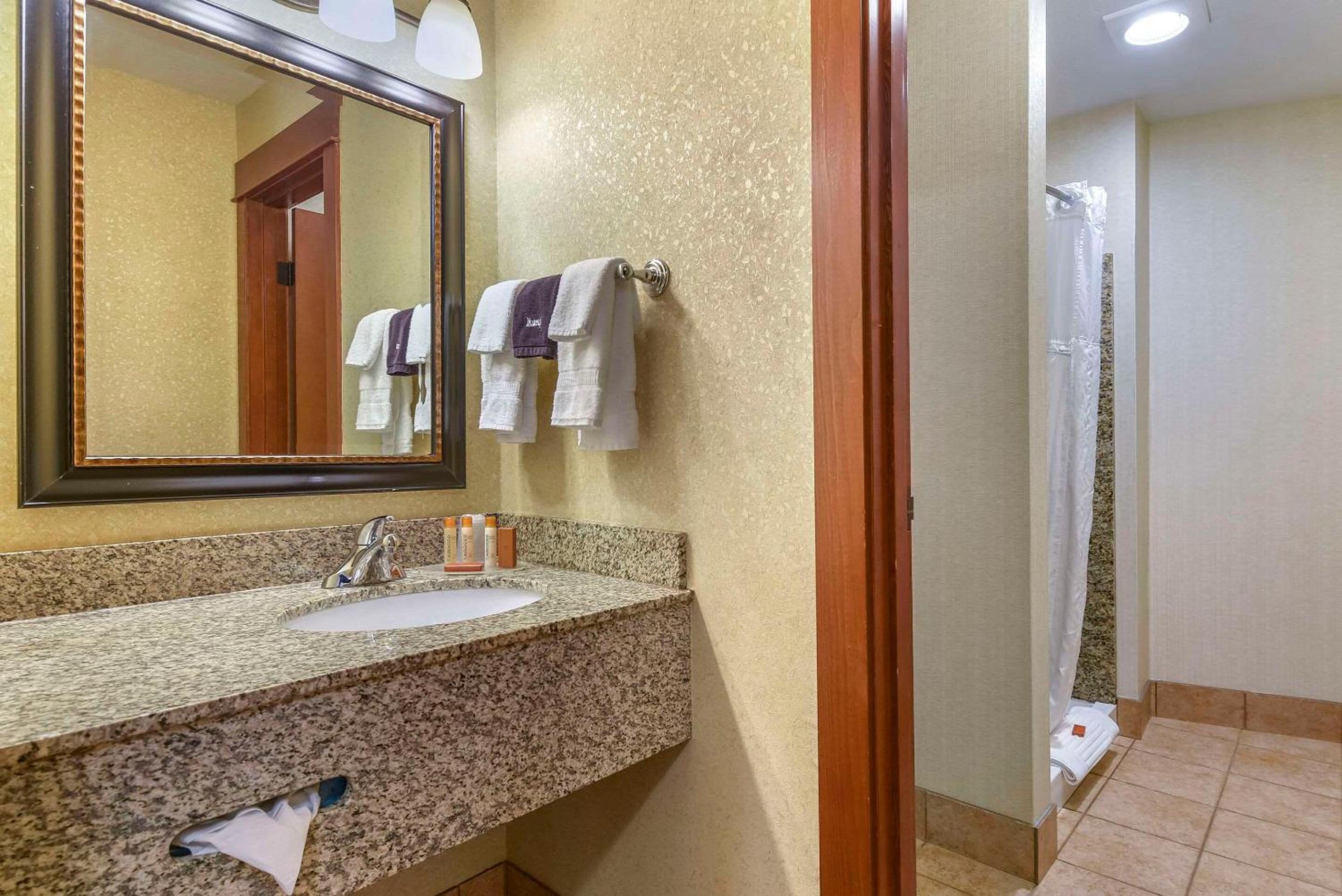 King Suite with Spa Bath - Non-Smoking/No Pets - Photo 4