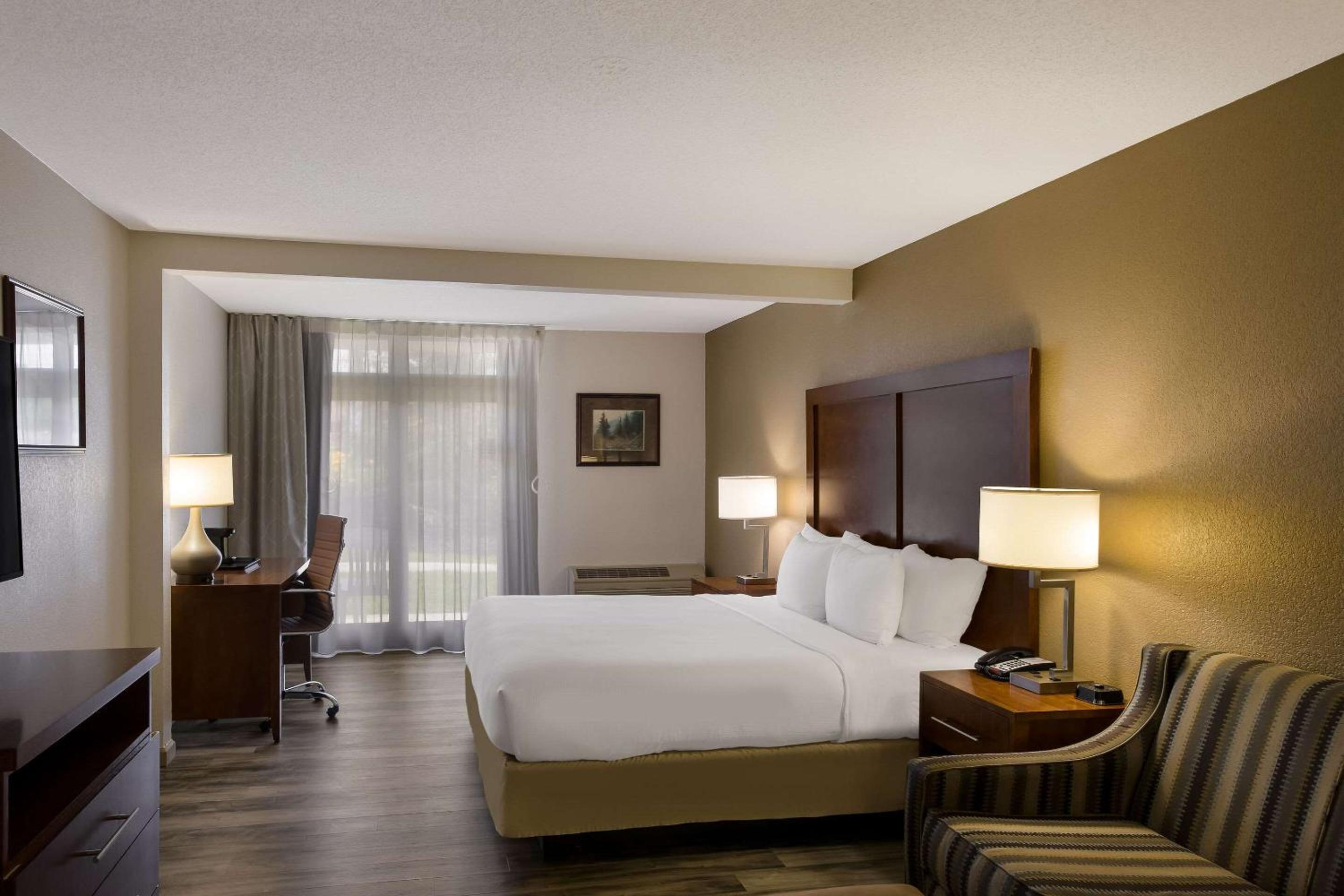 King Suite with Sofa-Bed - Accessible/Non-Smoking