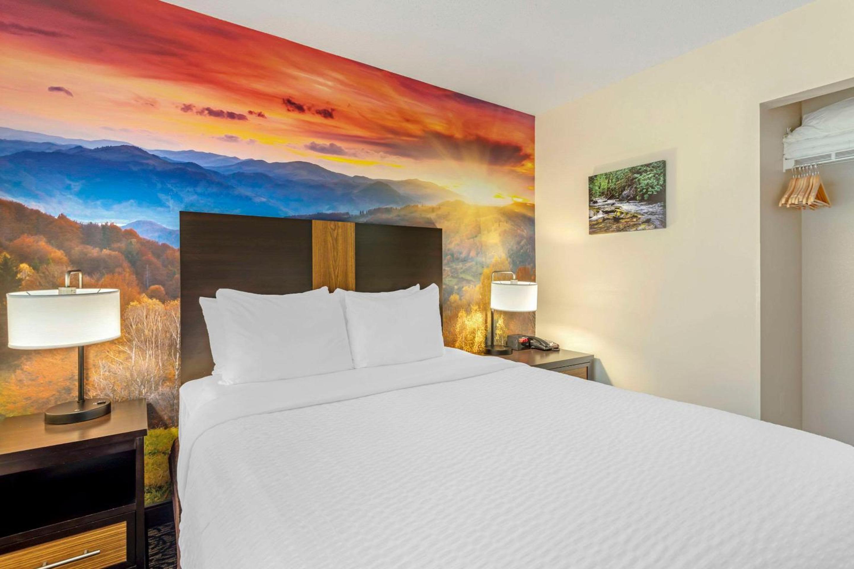 One-Bedroom Suite with One Queen Bed and Sofa Bed - Photo 1