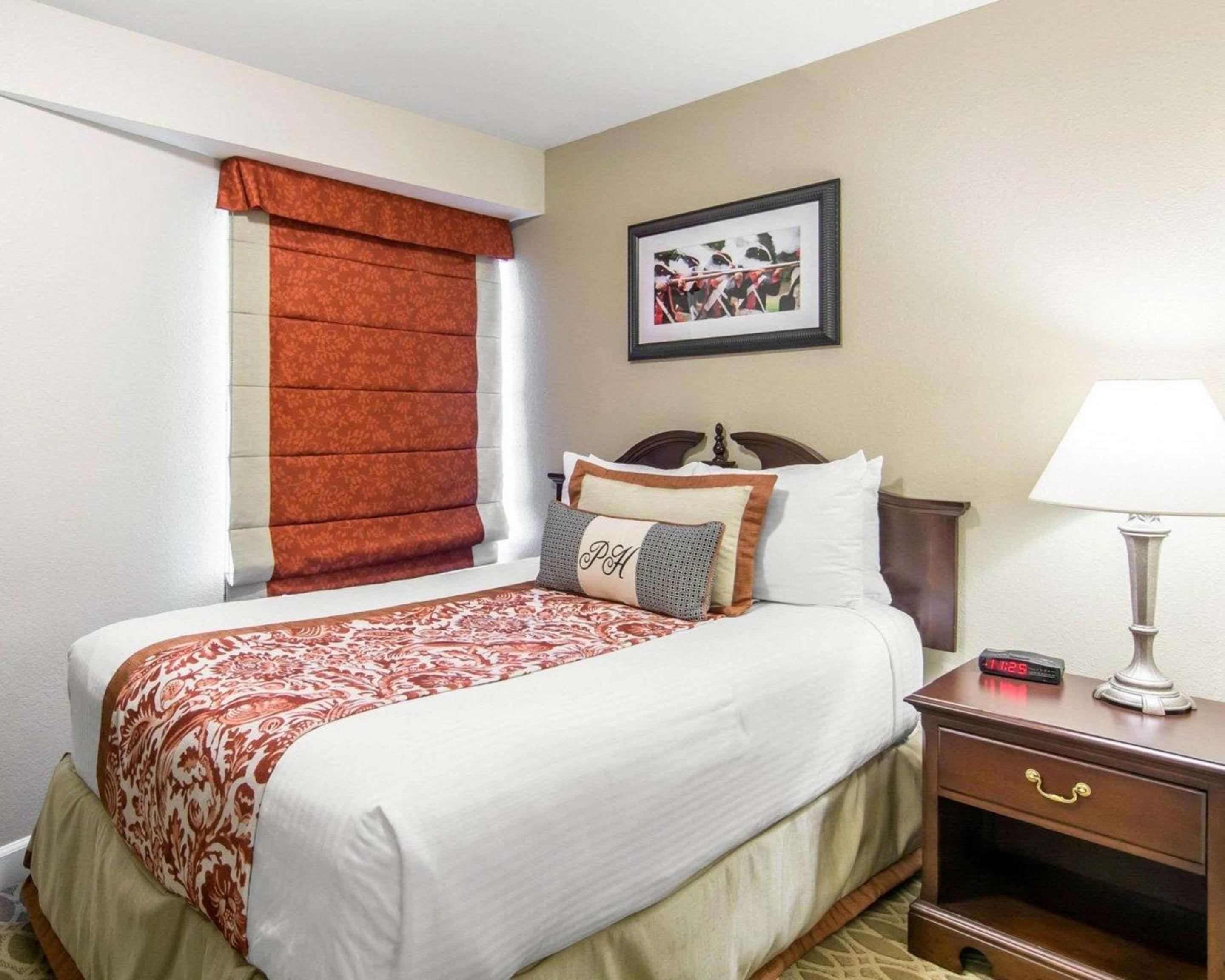One-Bedroom Suite photo 1