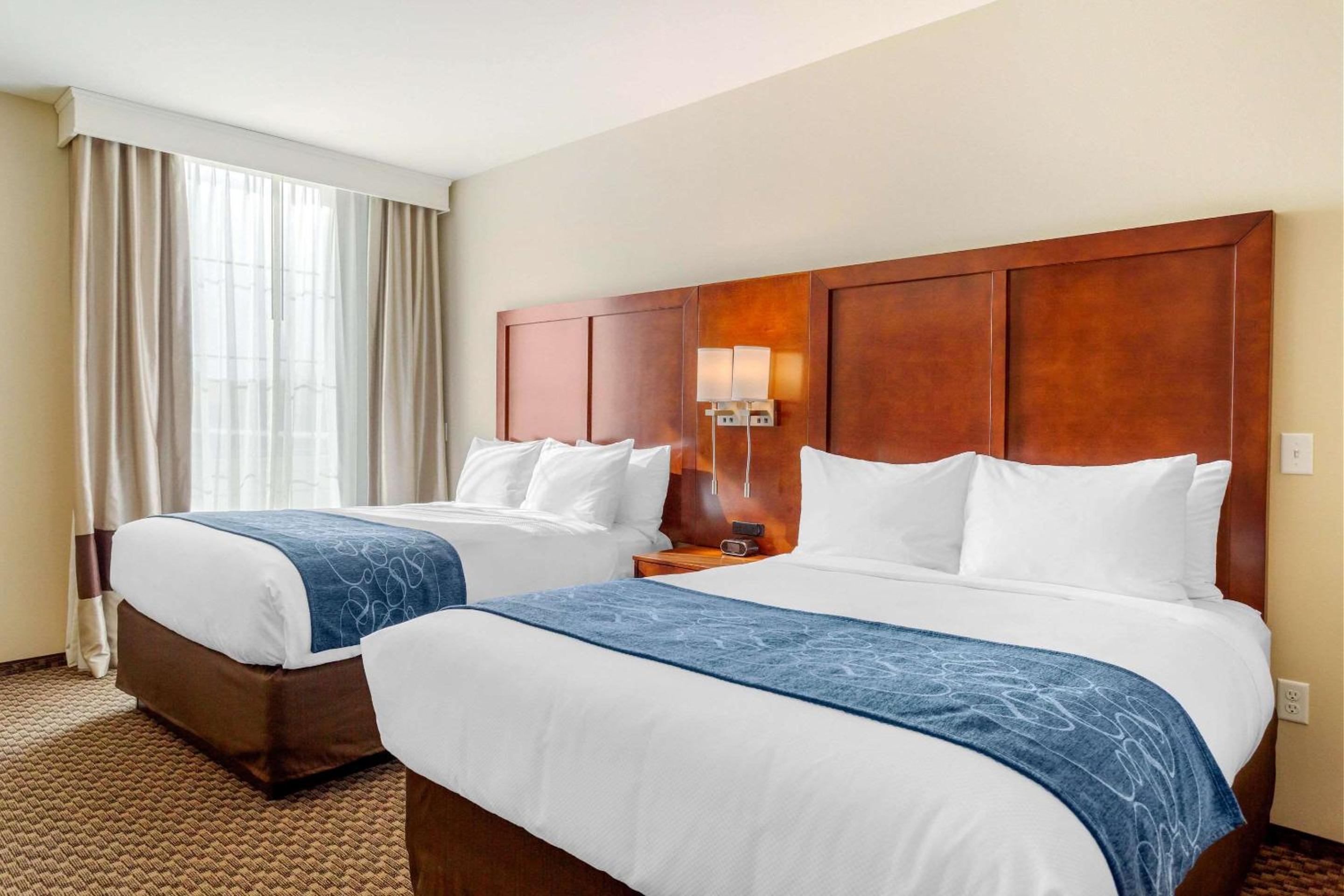 Queen Suite with Two Queen Beds and Sofa Bed - Photo 1