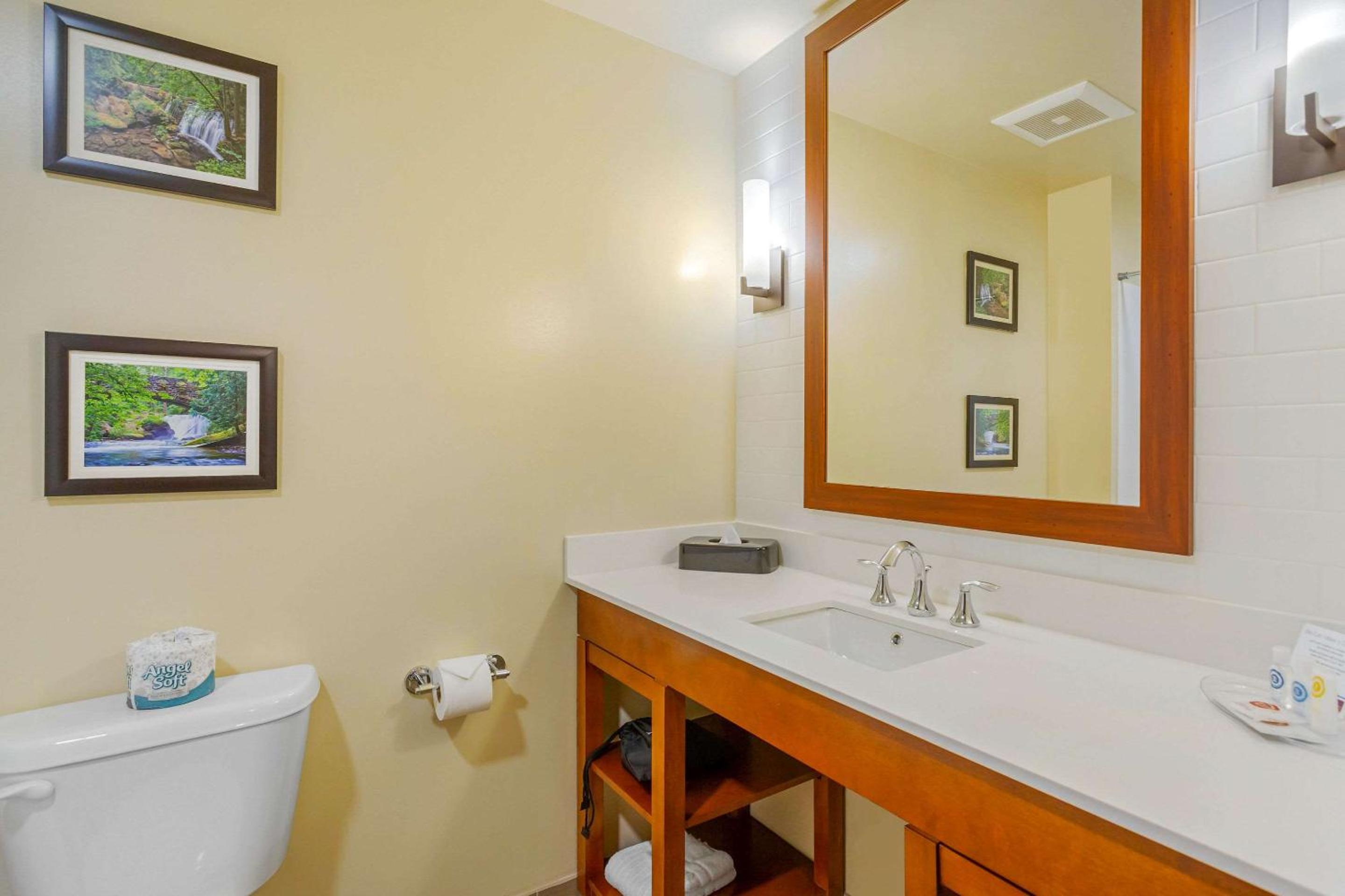 Queen Room with Two Queen Beds and Sofa Bed photo 3