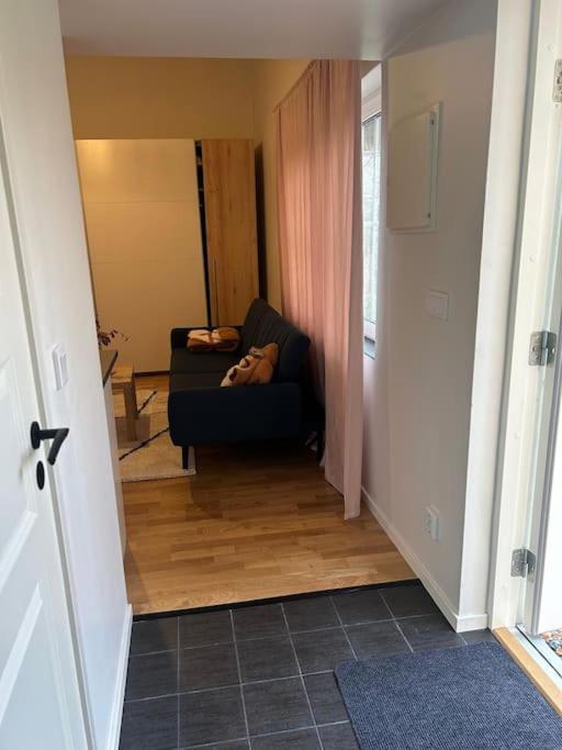 One-Bedroom Apartment photo 3