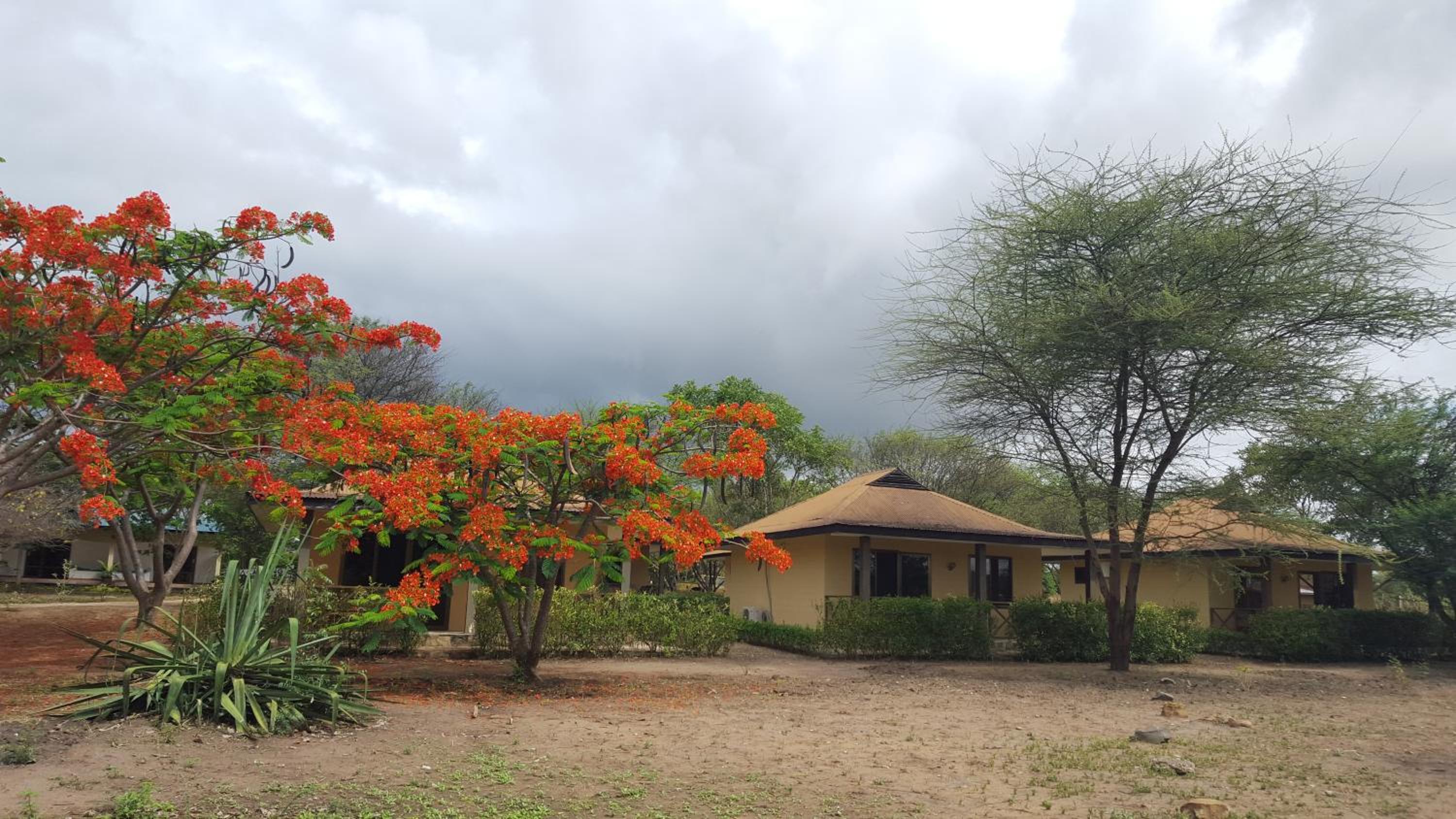 Bungalow - Photo 7
