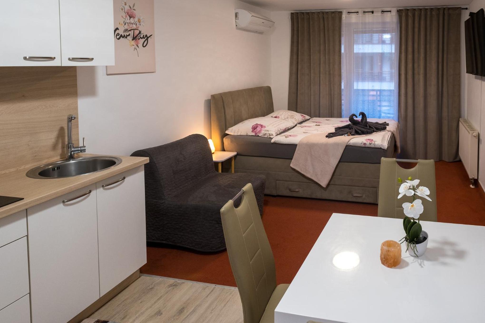 One-Bedroom Apartment