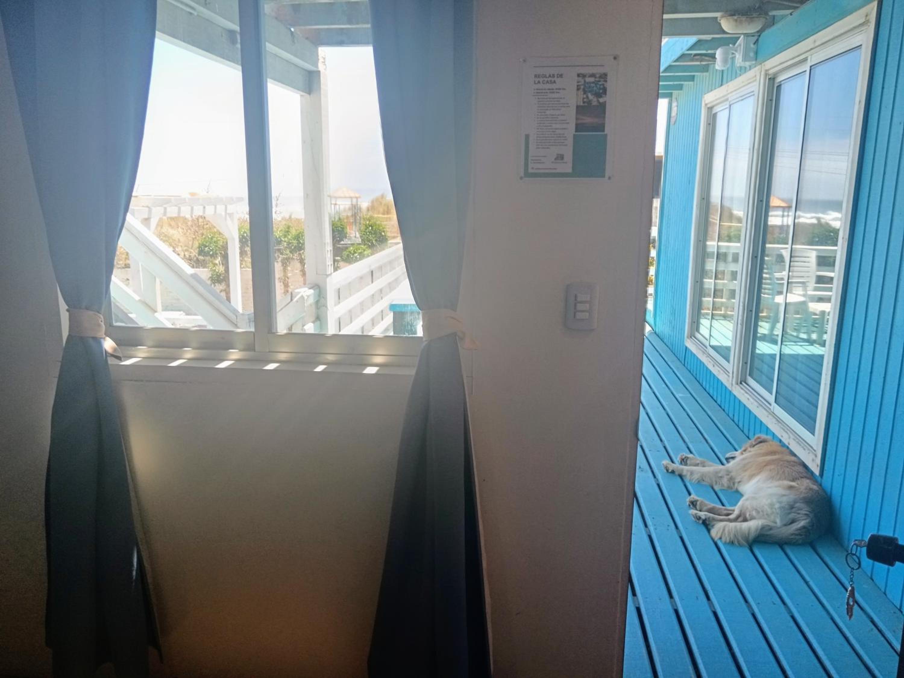 Double Room with Sea View photo 2