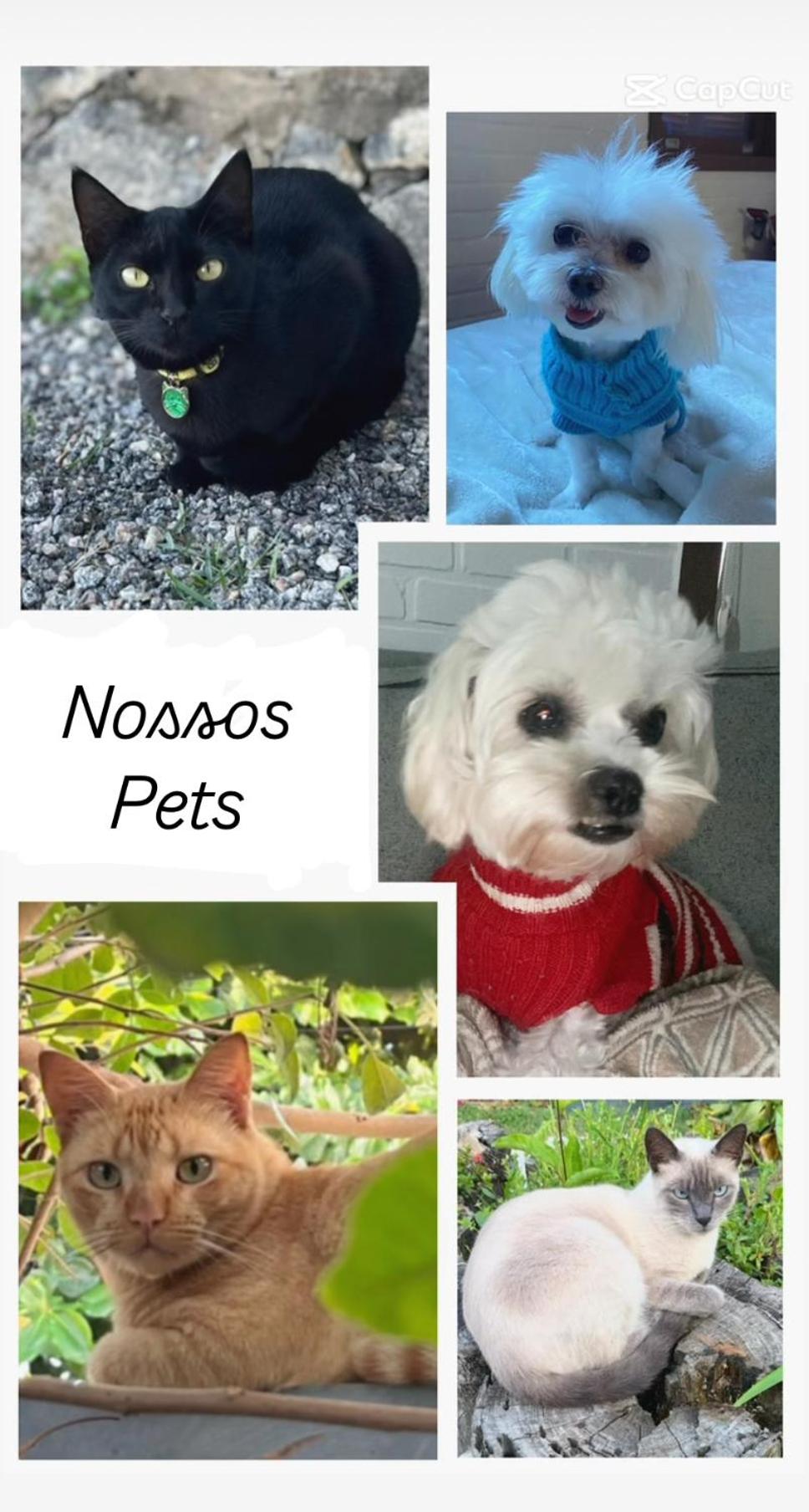 Junior Suite photo 2