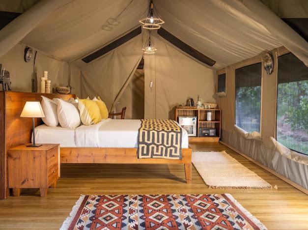 Tent photo 1