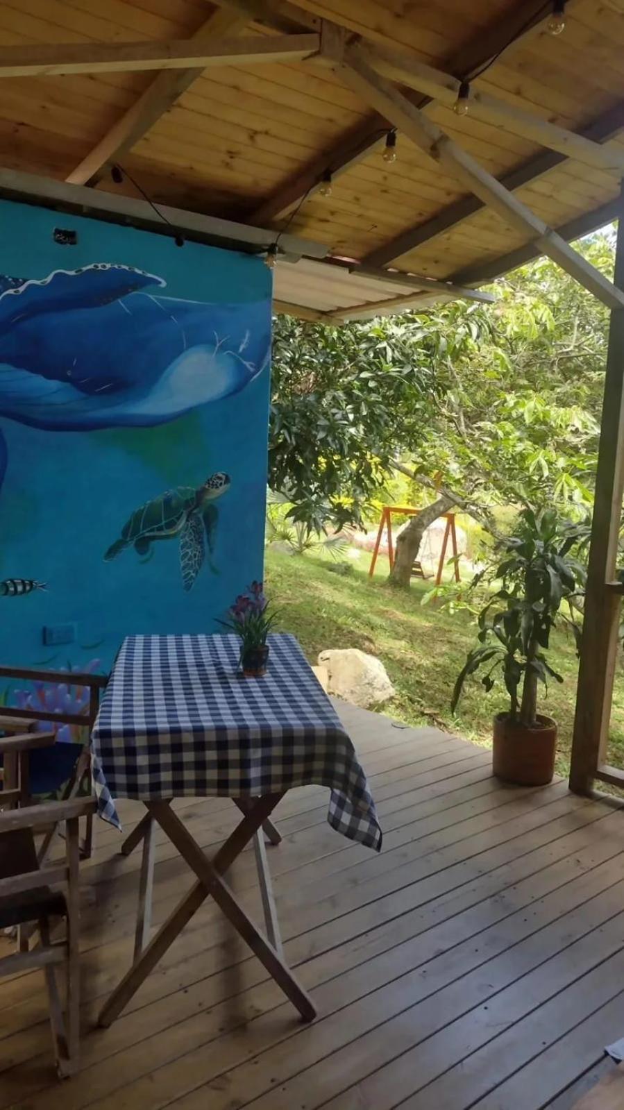 Deluxe Bungalow photo 2