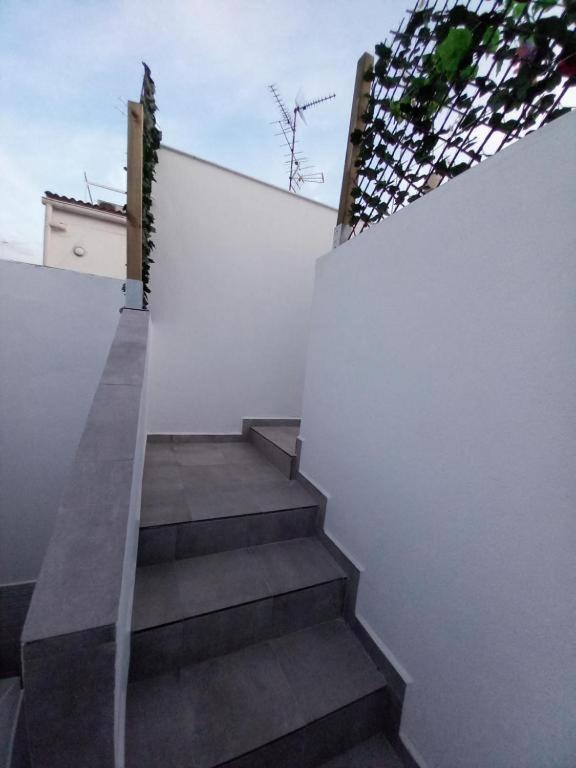 Apartment With Terrace photo 3