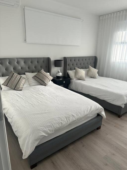 Three-Bedroom House photo 3