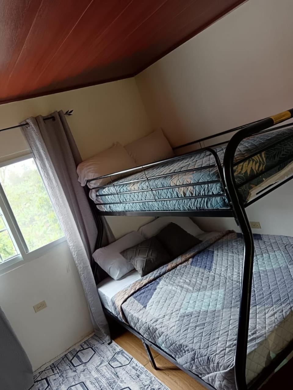 Twin Room photo 1
