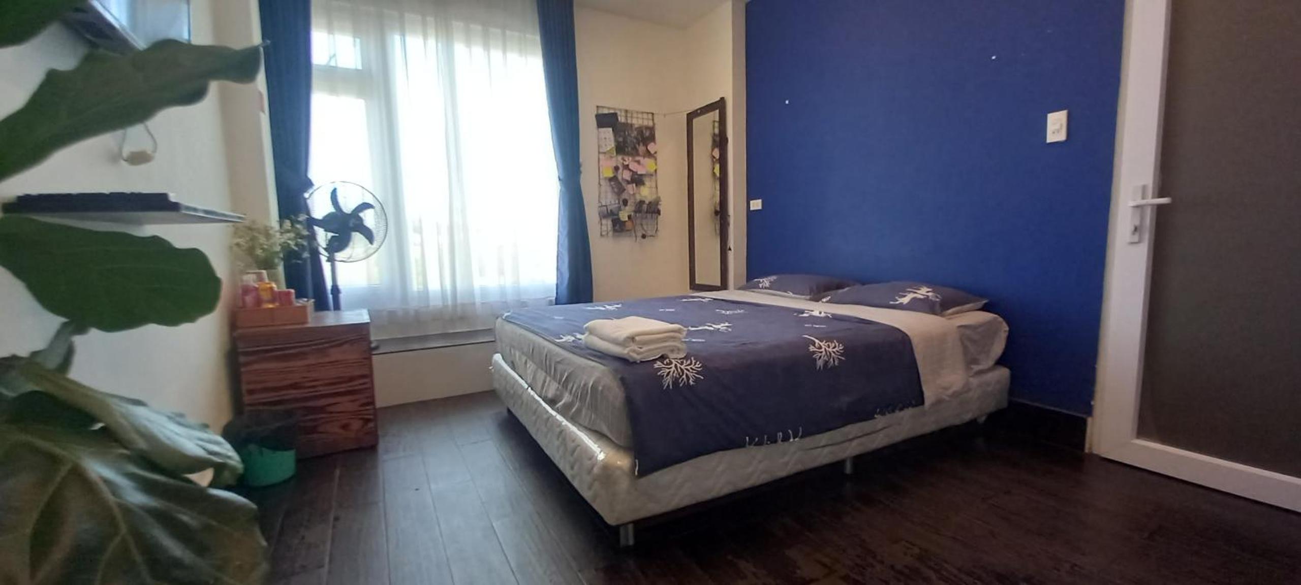 Standard King Room photo 2