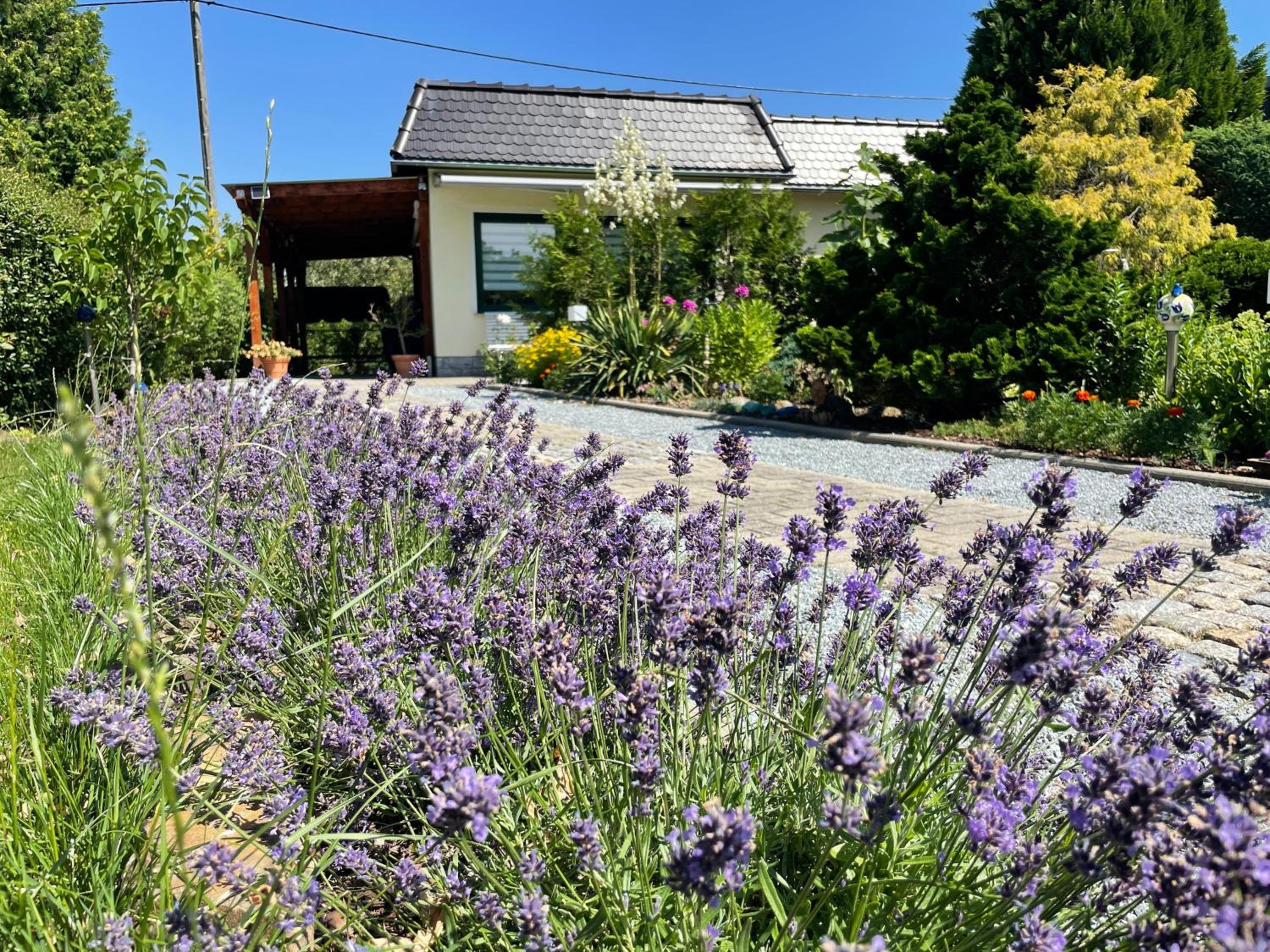 Vacation Home photo 3