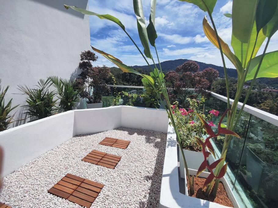 Penthouse Apartment photo 2