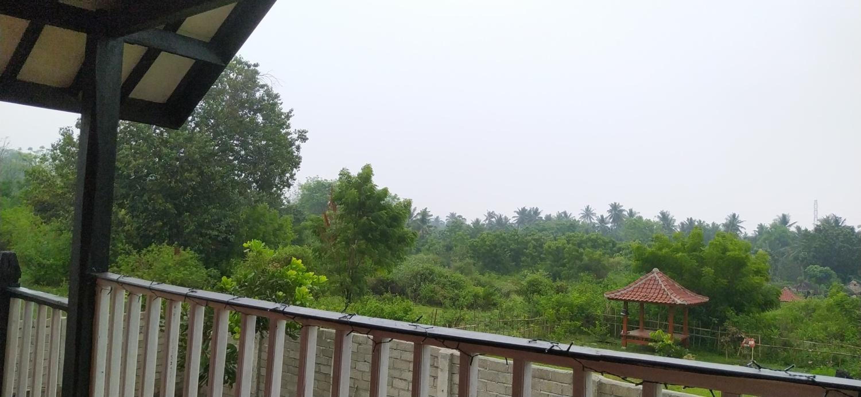 Double Room with Terrace photo 3