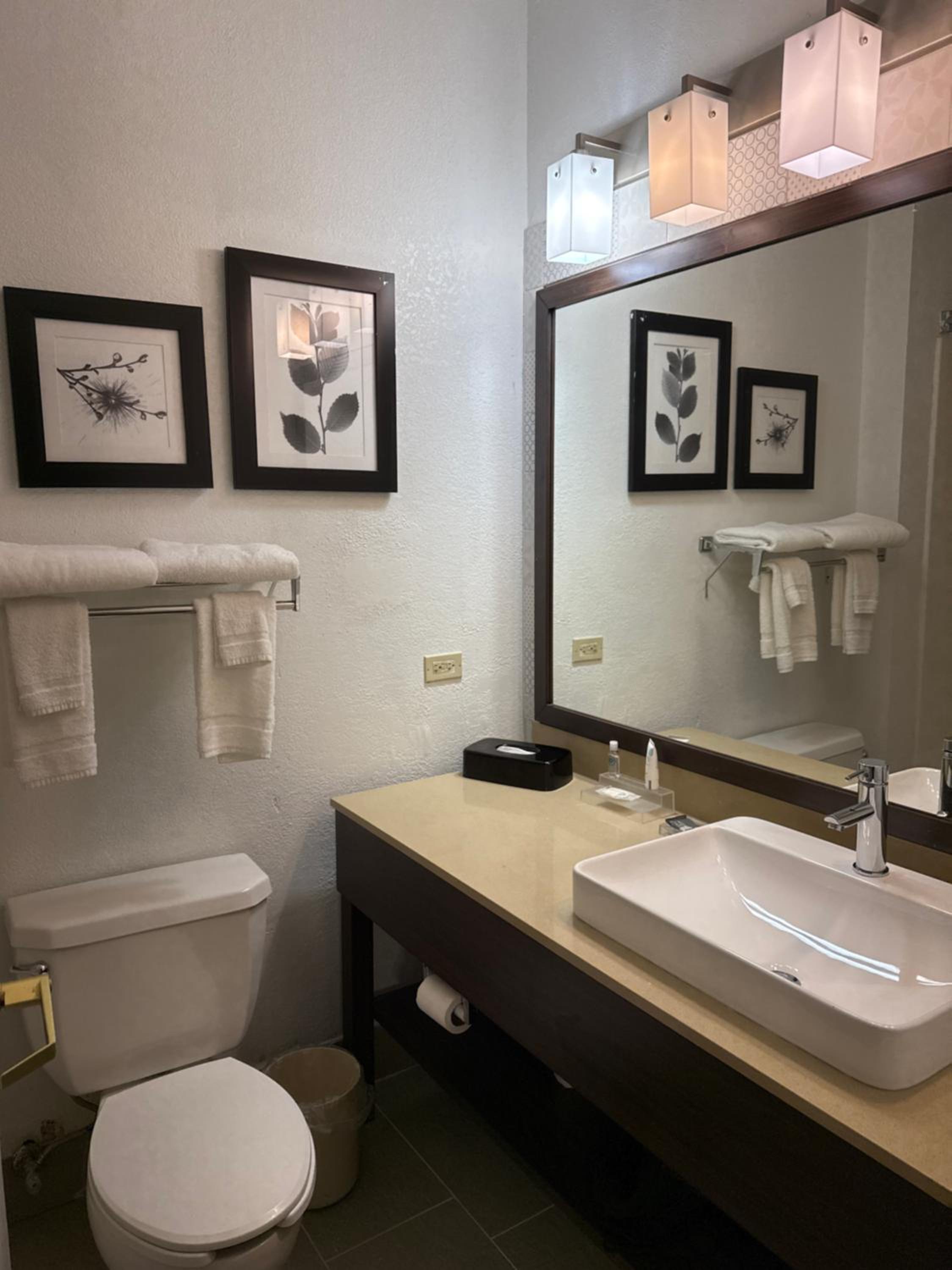 King Suite - Non-Smoking	 - Photo 3