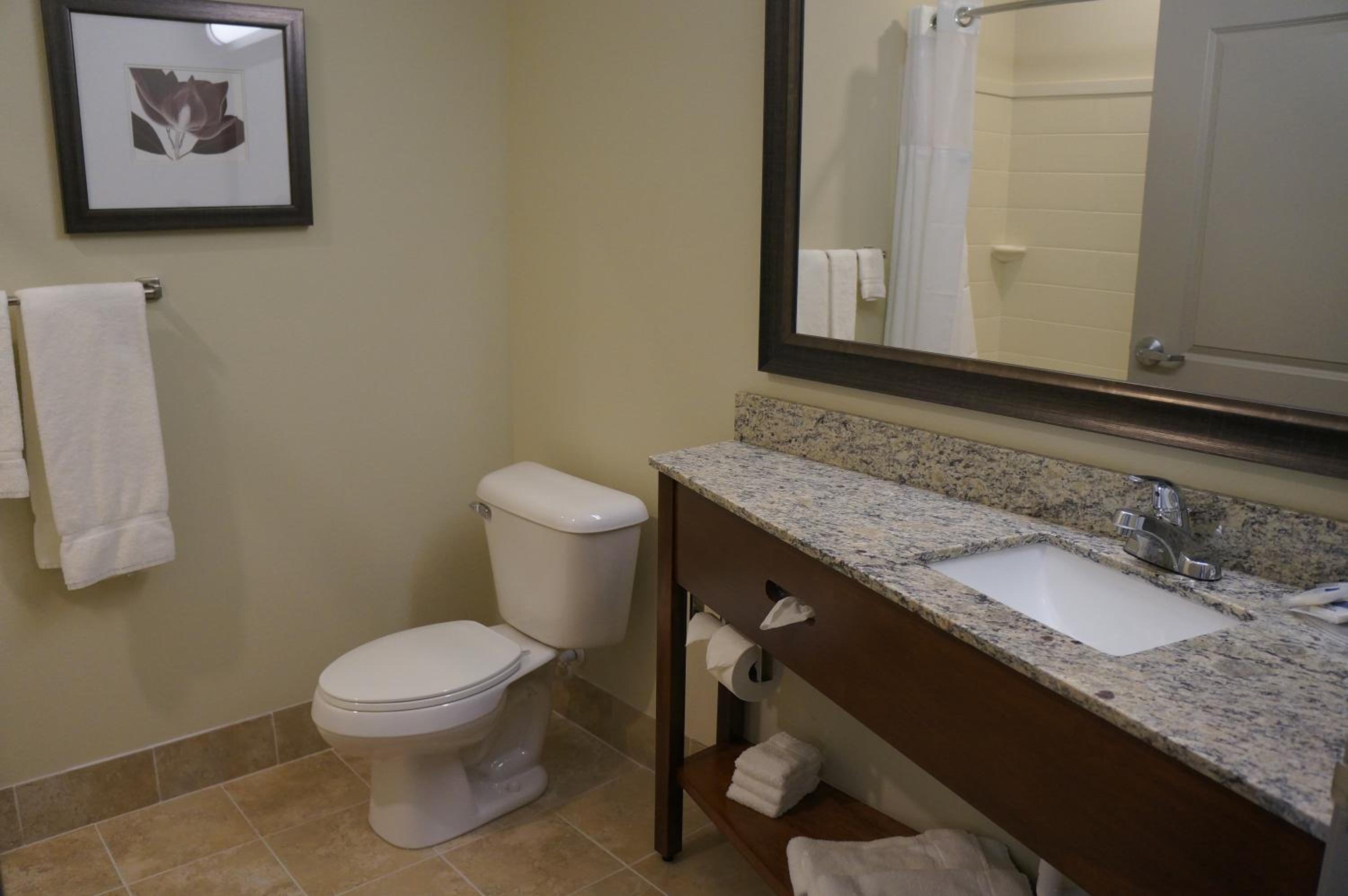 Deluxe Queen Room - Mobility Access/Non-Smoking photo 3