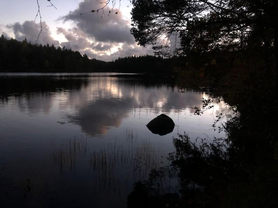 One-Bedroom Villa photo 3