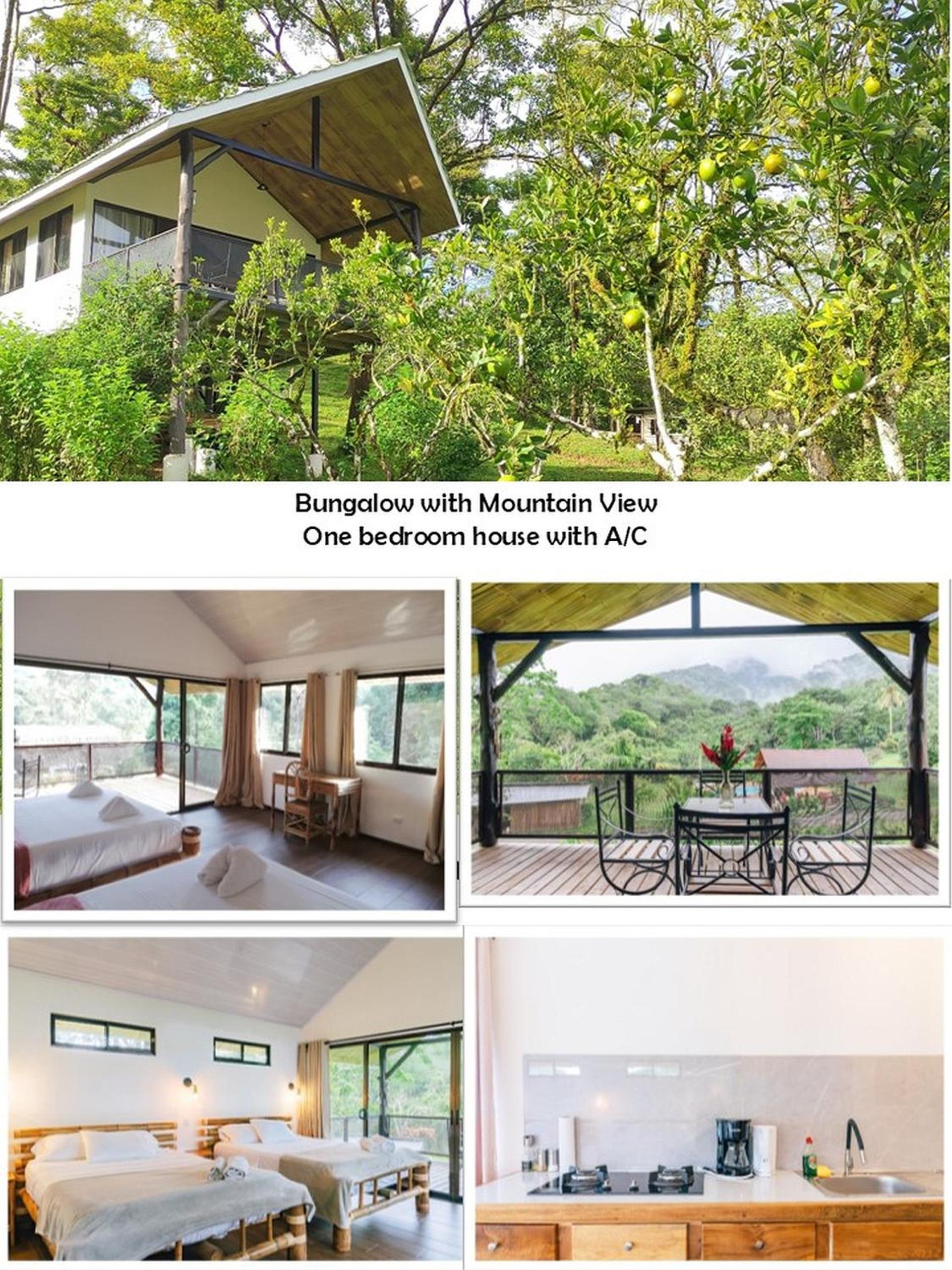 One-Bedroom Bungalow