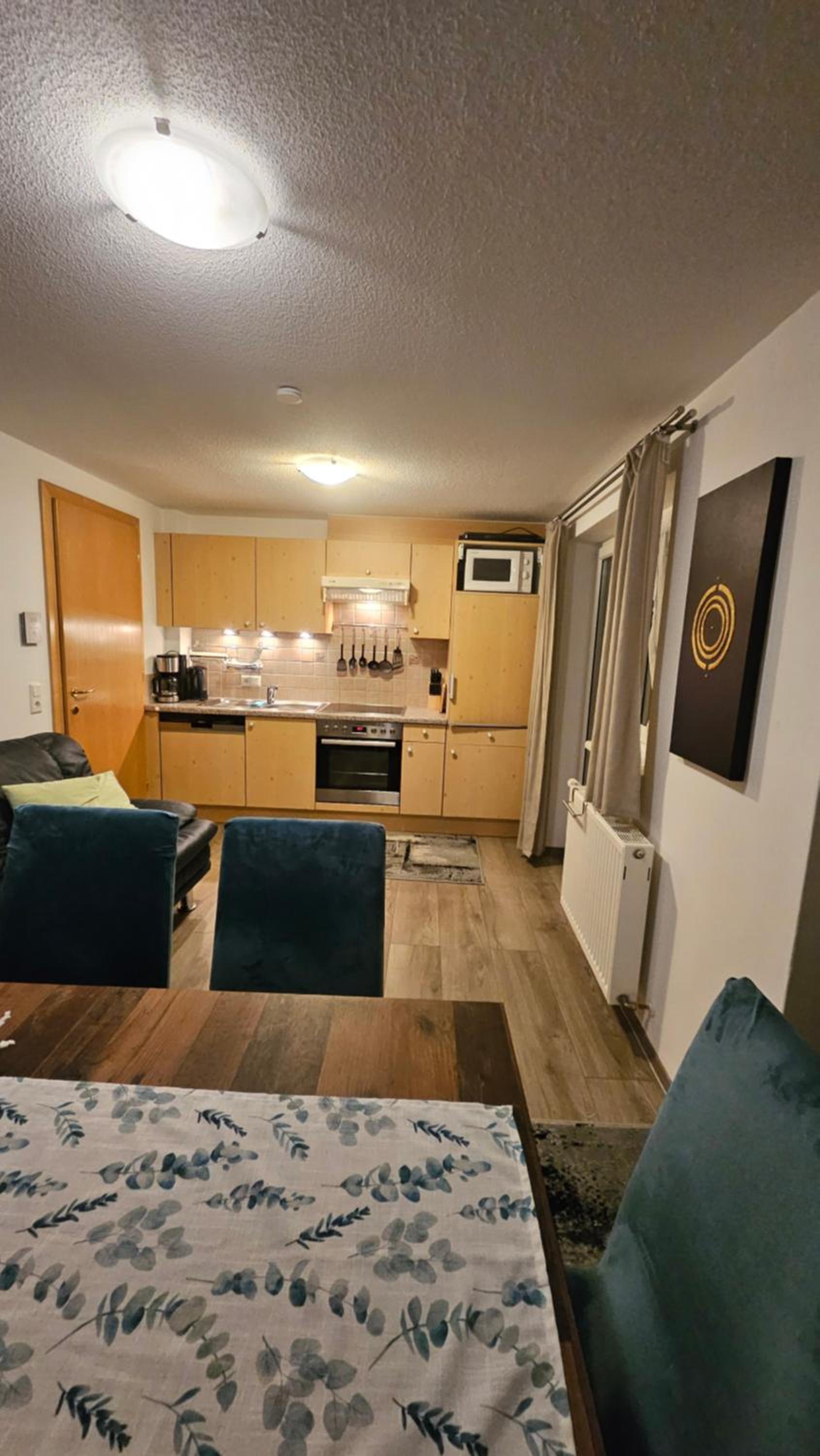 Apartment with Mountain View photo 3
