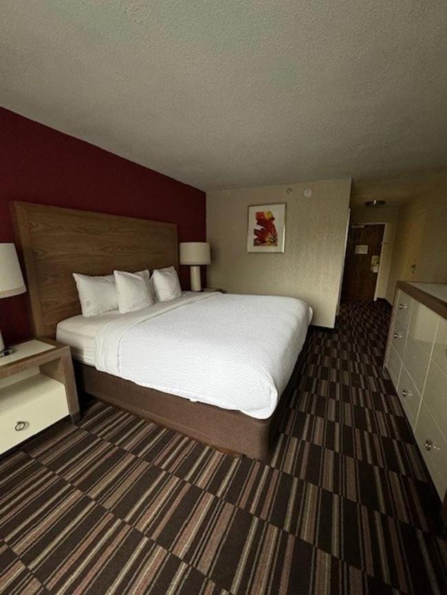 Ramada Plaza by Wyndham Charlotte South End Airport, 写真 5