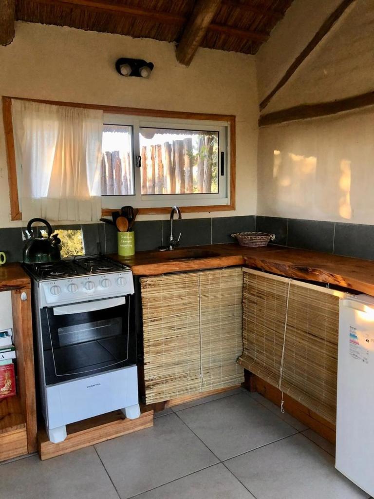 One-Bedroom House photo 3