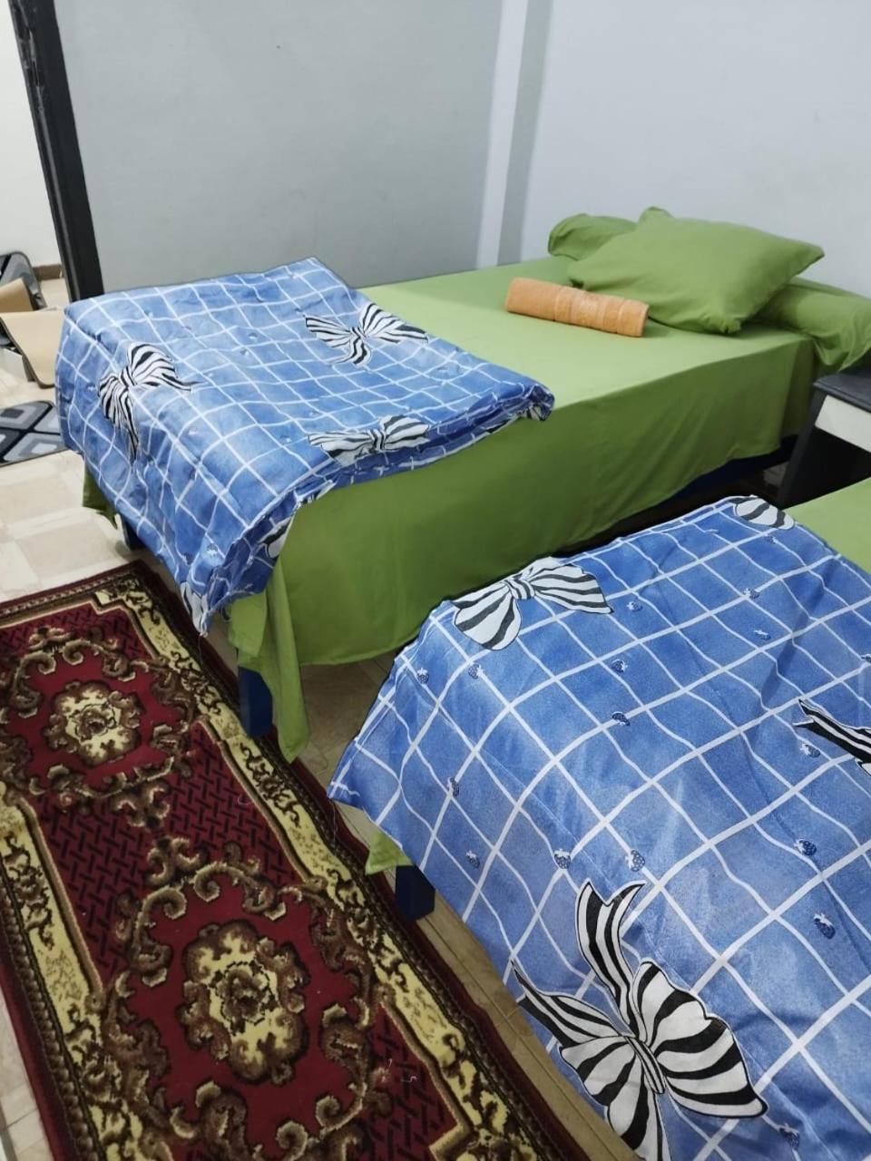 Bed in 4-Bed Female Dormitory Room photo 3