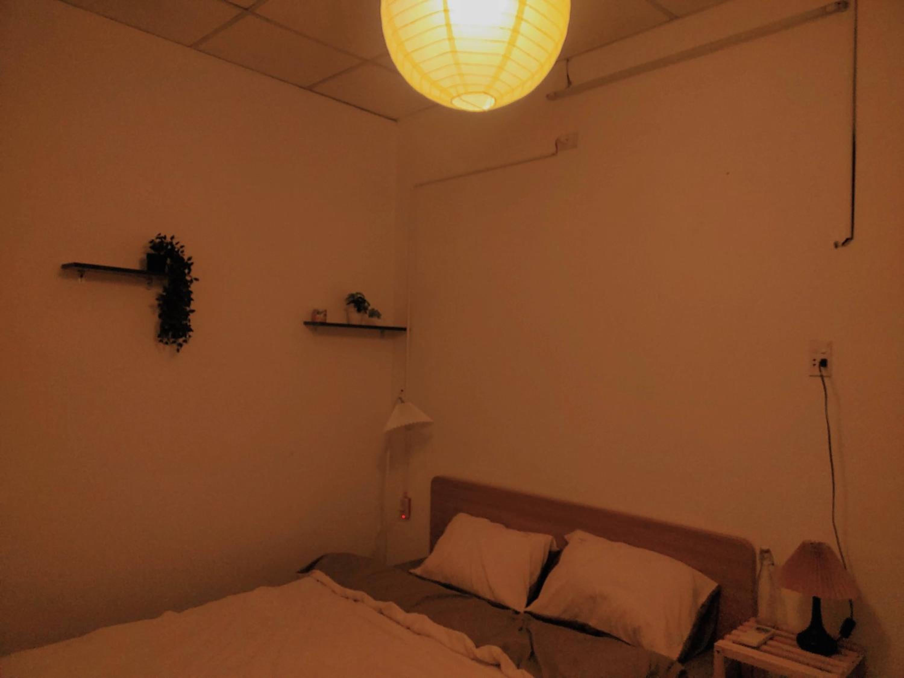 King Room photo 2