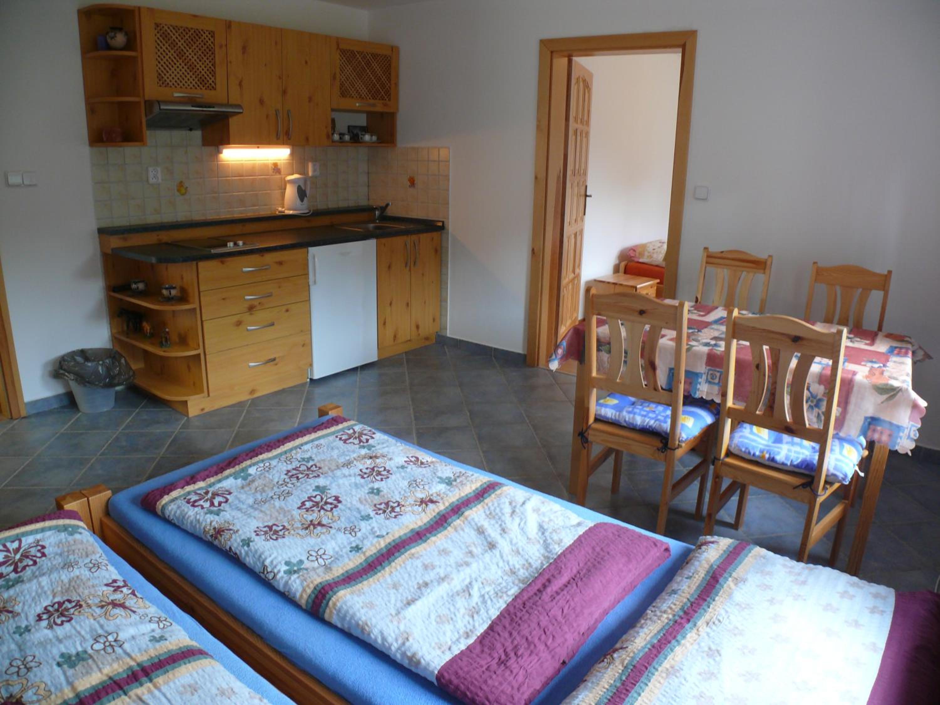 One-Bedroom Apartment (4 Adults) photo 1