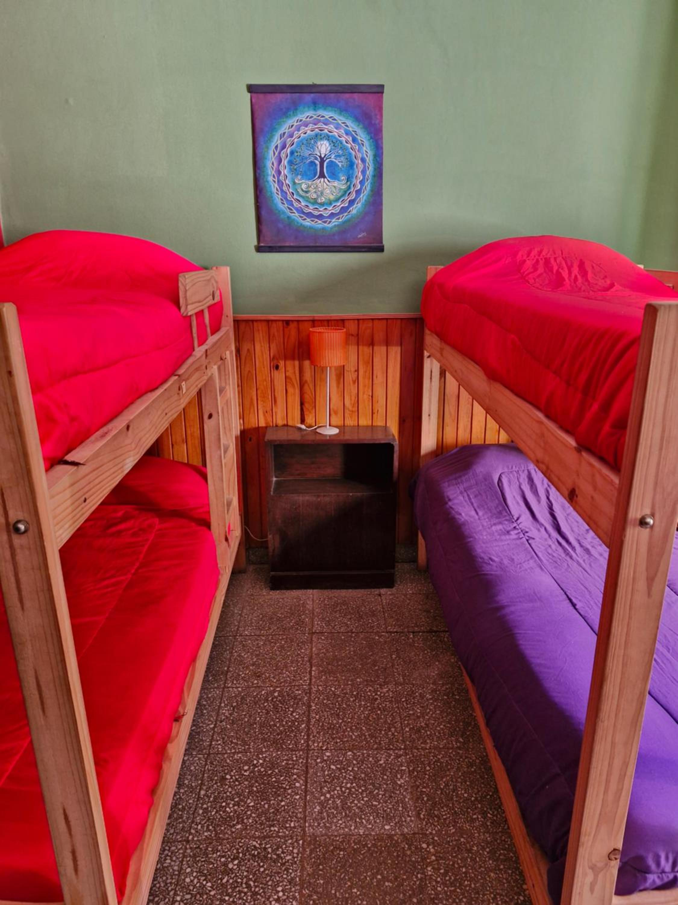 Single Bed in Dormitory Room photo 3