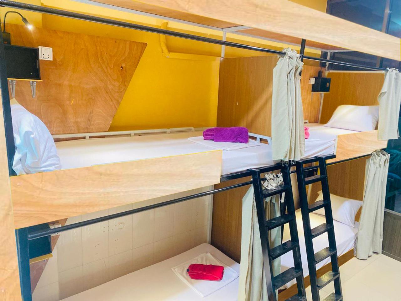 Bunk Bed in Mixed Dormitory Room photo 3