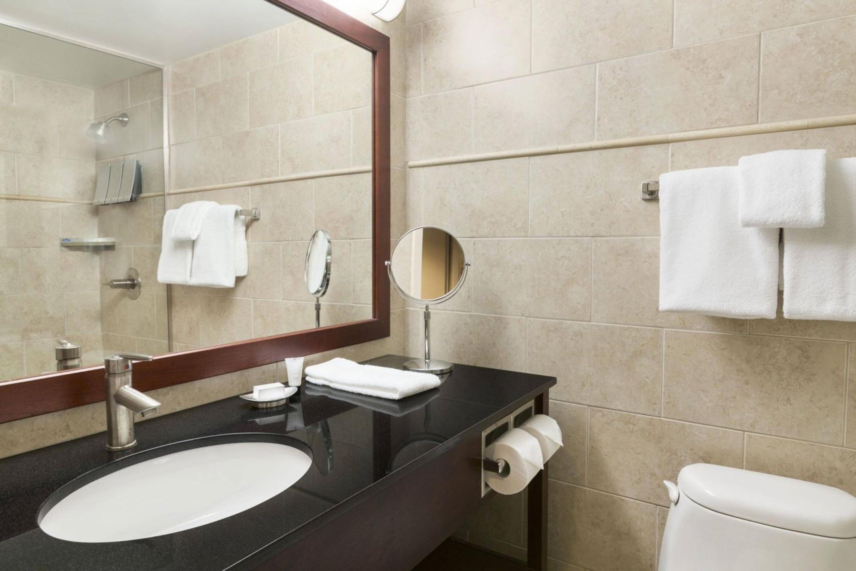 bathroom with a sink, toilet, mirror and towel rack