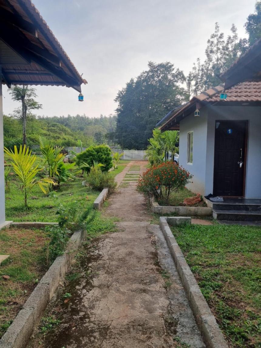 Family Room With Mountain View photo 2