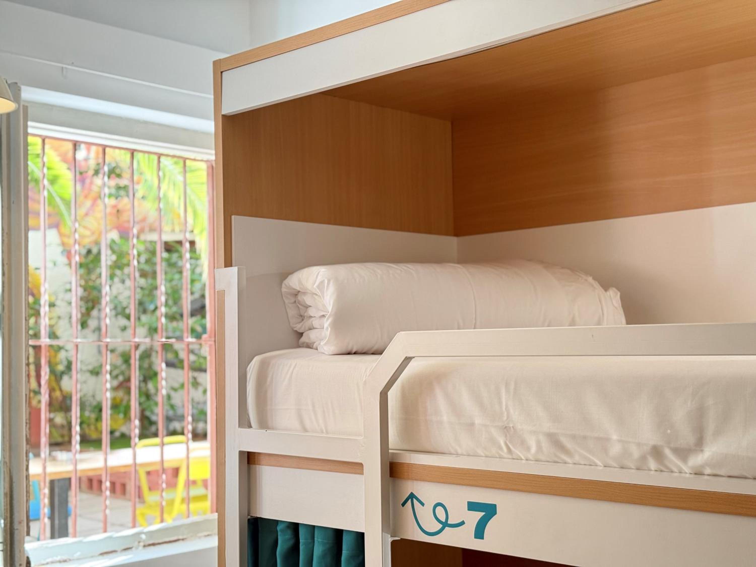 Bed in 8-Bed Female Dormitory Room photo 2