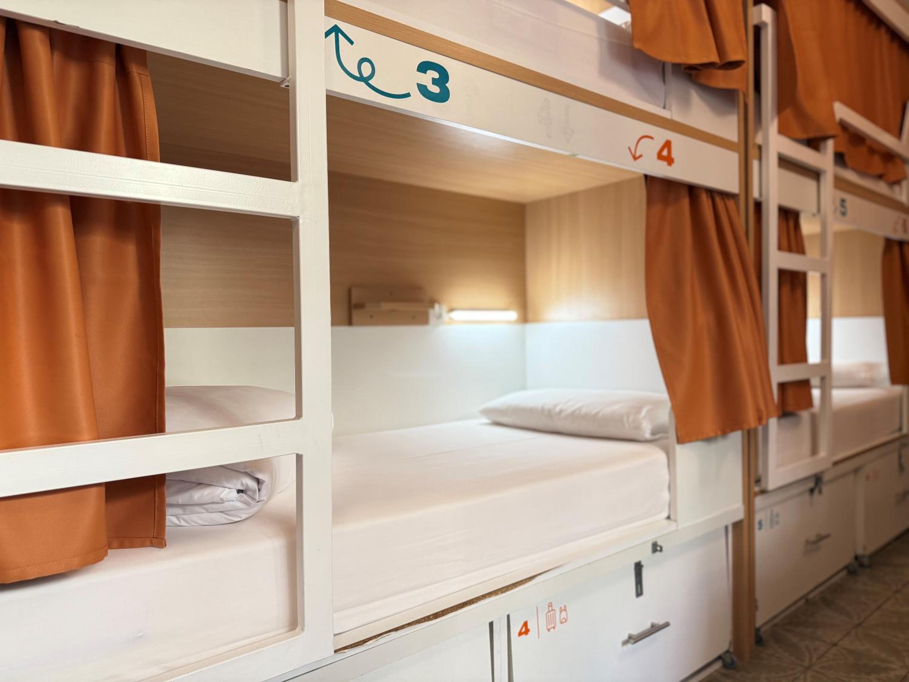 Bed in 10-Bed Female Dormitory Room photo 3