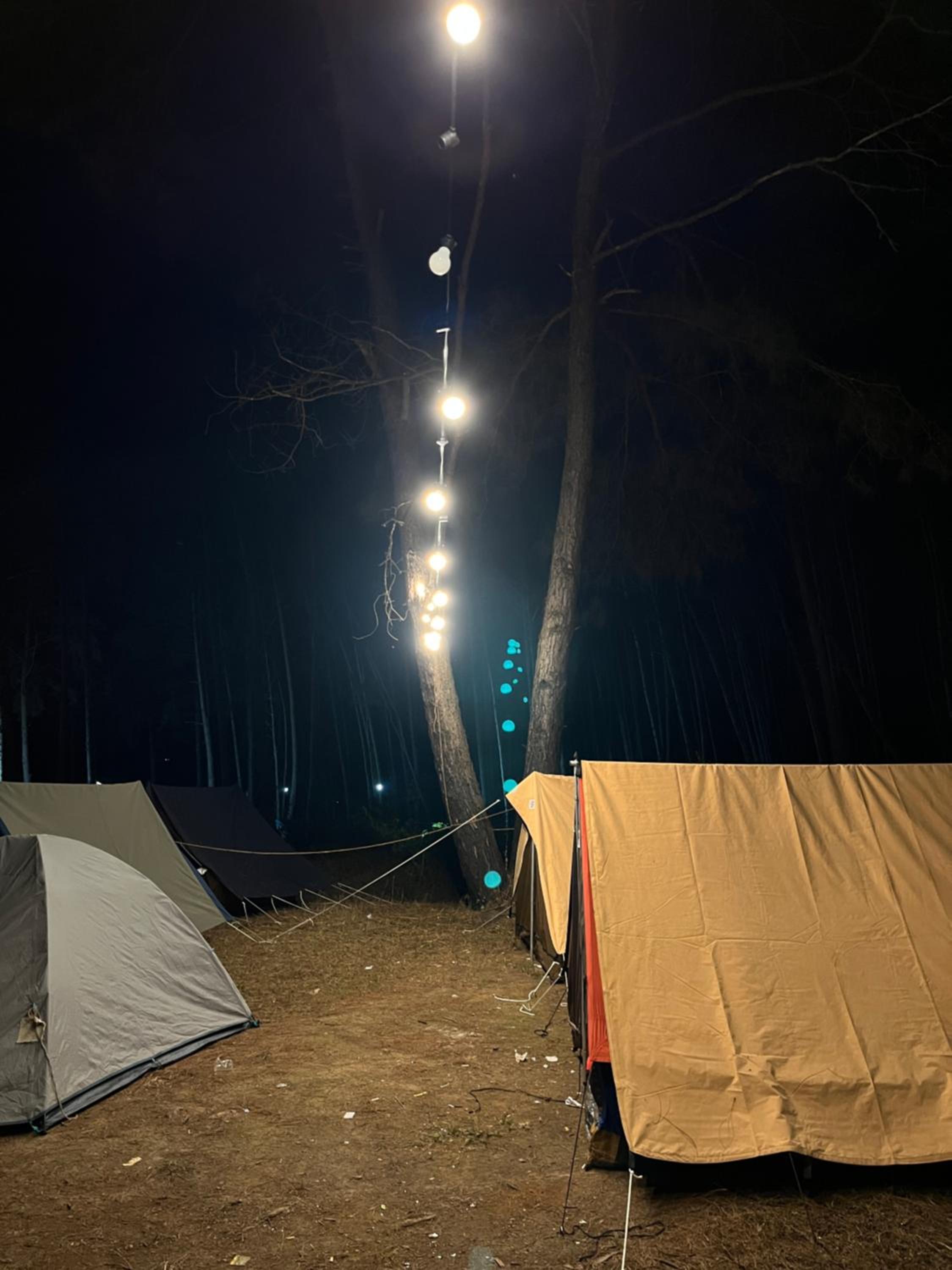 Tent photo 2