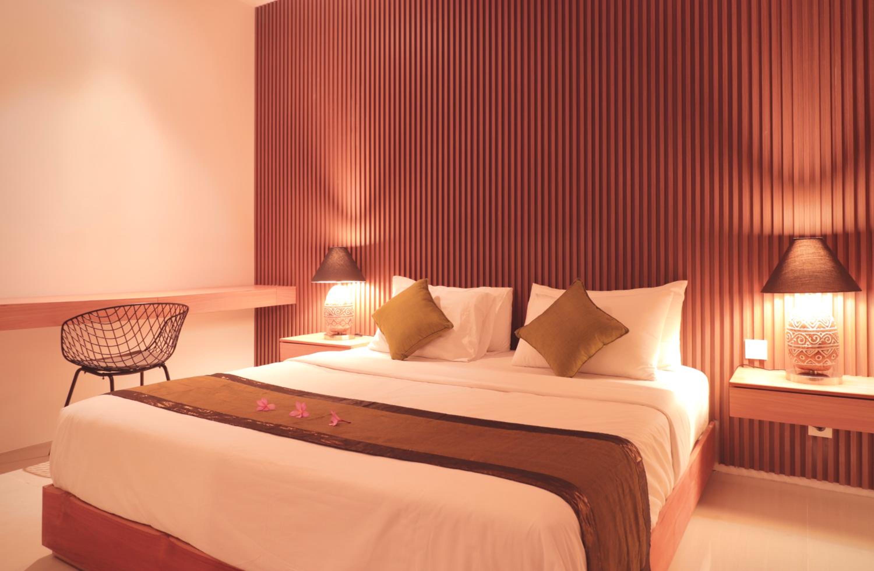 Suite - Photo 1