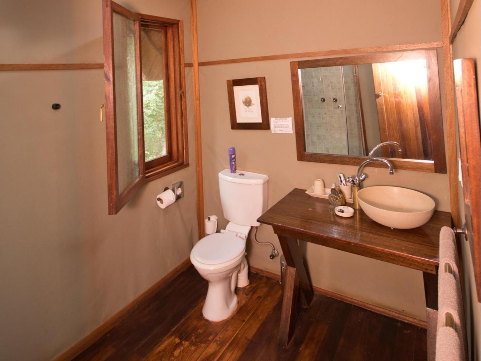 Standard King Room photo 3