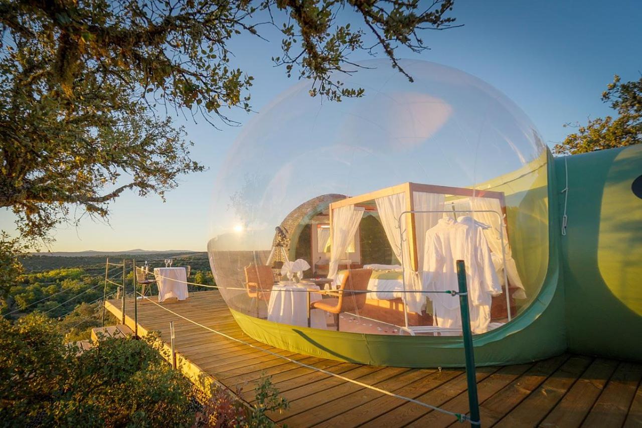 Tent photo 2