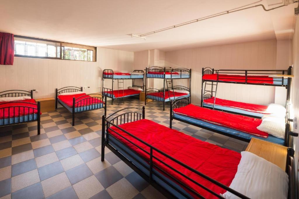 Bunk Bed in Mixed Dormitory Room photo 2