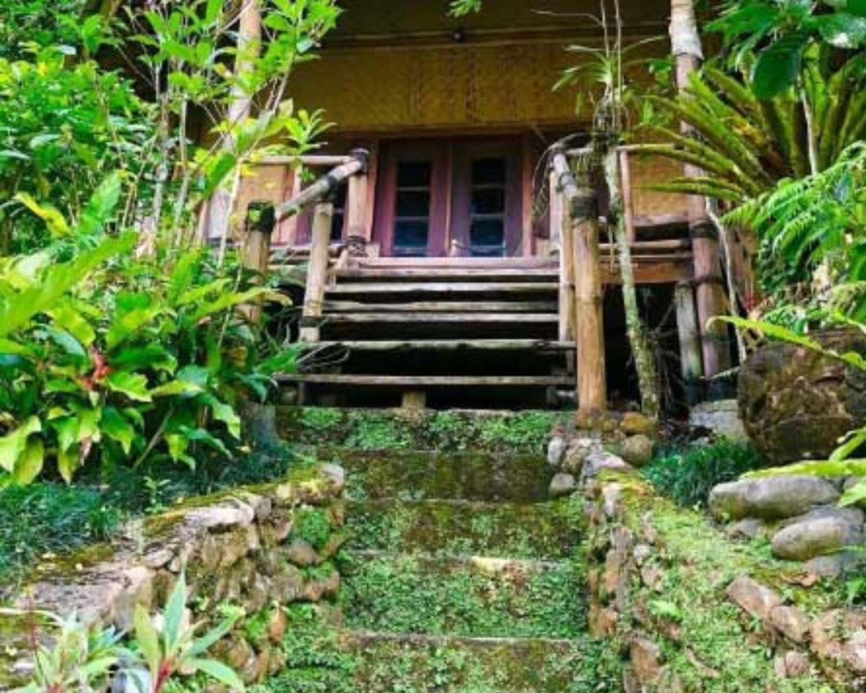 Standard Bungalow photo 3